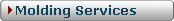 Molding Services